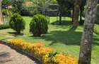 4 Bed House with En Suite in Runda - 8