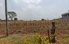 0.5 ac Land at Runda - 9