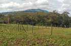 0.2 ha Residential Land in Ngong - 7