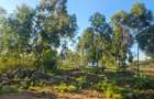 Land at Kamangu - 3
