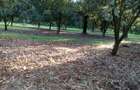 0.125 ac Residential Land at Juja Gatundu Road - 4