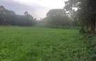 0.5 ac Land in Runda - 5