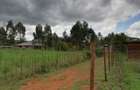 0.05 ha Land in Kikuyu Town - 7