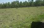 2 ac Residential Land in Ongata Rongai - 10