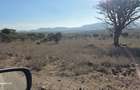 49 ac Land at Olooshoibor - 1
