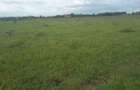 0.1 ac Residential Land in Ongata Rongai - 2