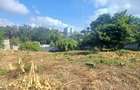 1.347 ac Land in Riara Road - 4