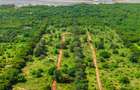 1,012 m² Residential Land in Vipingo - 1