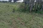 0.25 ac Commercial Land at Lake View - 8