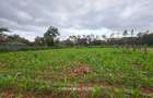 0.5 ac Land in Ridgeways - 6