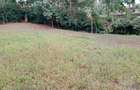 0.5 ac Land at Ololua - 3