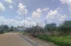 0.05 ac Land at Mushroom Kagera - 6