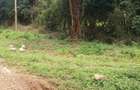 1.5 ac Land in Karen - 6