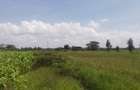 5 ac Land at Rumuruti - Maralal Road - 4