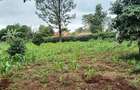 Land at Mimosa Road - 3