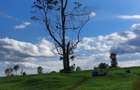 21 ac Land in Tigoni - 3