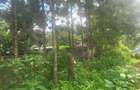 Land in Karen - 4