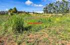 0.1 ha Commercial Land at Muguga - 9