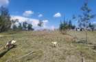 Land in Joska - 5
