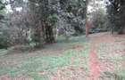 4 ac Land at Mushroom Gardens - 5