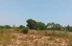 4 ac Land at Matsangoni - 7