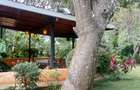 4 Bed House in Gigiri - 3