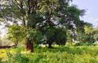 Residential Land at Karen - 8