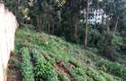 Land in Spring Valley - 2