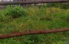 1.25 ac Land in Lavington - 9