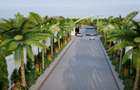 Land in Vipingo - 4