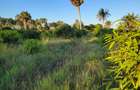 Land in Kwale County - 3