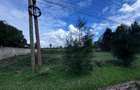0.5 ac Land in Runda - 1
