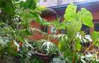 2 Bed Townhouse with En Suite in Kyuna - 17