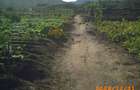 50 ac Land at Namanga Road - 7