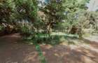 0.78 ac Commercial Land at Mugumo Road - 6