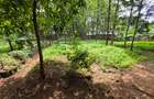 Land in Kileleshwa - 4