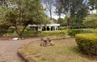 Commercial Property in Lavington - 4