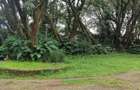 200 ac Land at Kilimani - 15