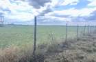 Land in Nanyuki - 6