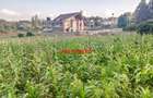 0.2 ha Residential Land at Ondiri - 7