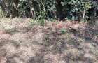Land at Karen - 2