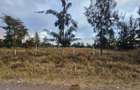 2 ac Residential Land in Karen - 1