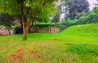 4 Bed House with En Suite in Kitisuru - 20