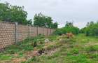 Land in Vipingo - 3