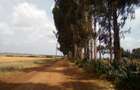 Land at Timau - 3