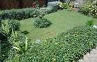 Serviced 1 Bed Apartment with Garden in Kiambu Town - 10