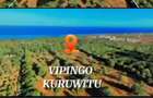Land at Vipingo Kilifi - 1