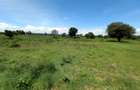 5 ac Land at Burguret - 4