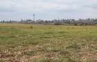 62 ac Land at Riabai - 6
