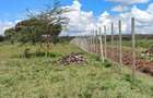 0.125 ac Residential Land at Moi South Lake Road - 1